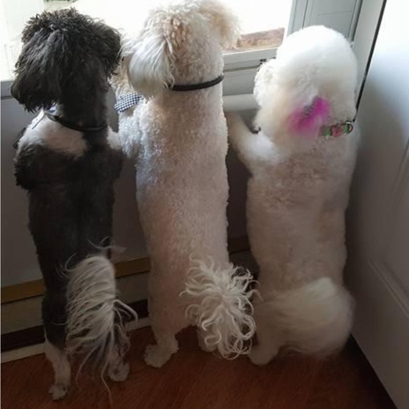 Meet your Posher, Lori - Picture 1 of 1